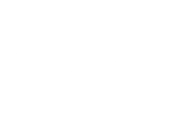 Get the Zest Studio